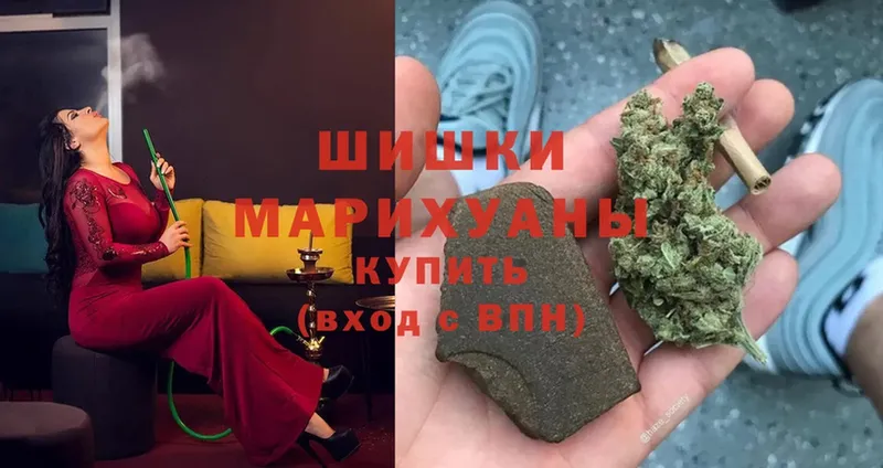 где можно купить   Пошехонье  Канабис план 